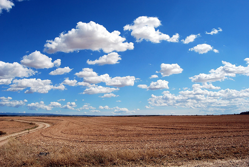 Elaboración de planes locales de adaptación al cambio climático. FAMCP